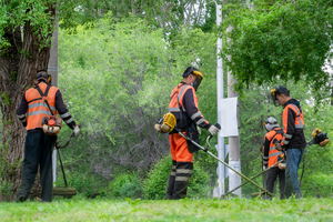 Pracownik Terenów Zielonych