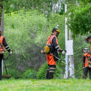 Pracownik Terenów Zielonych