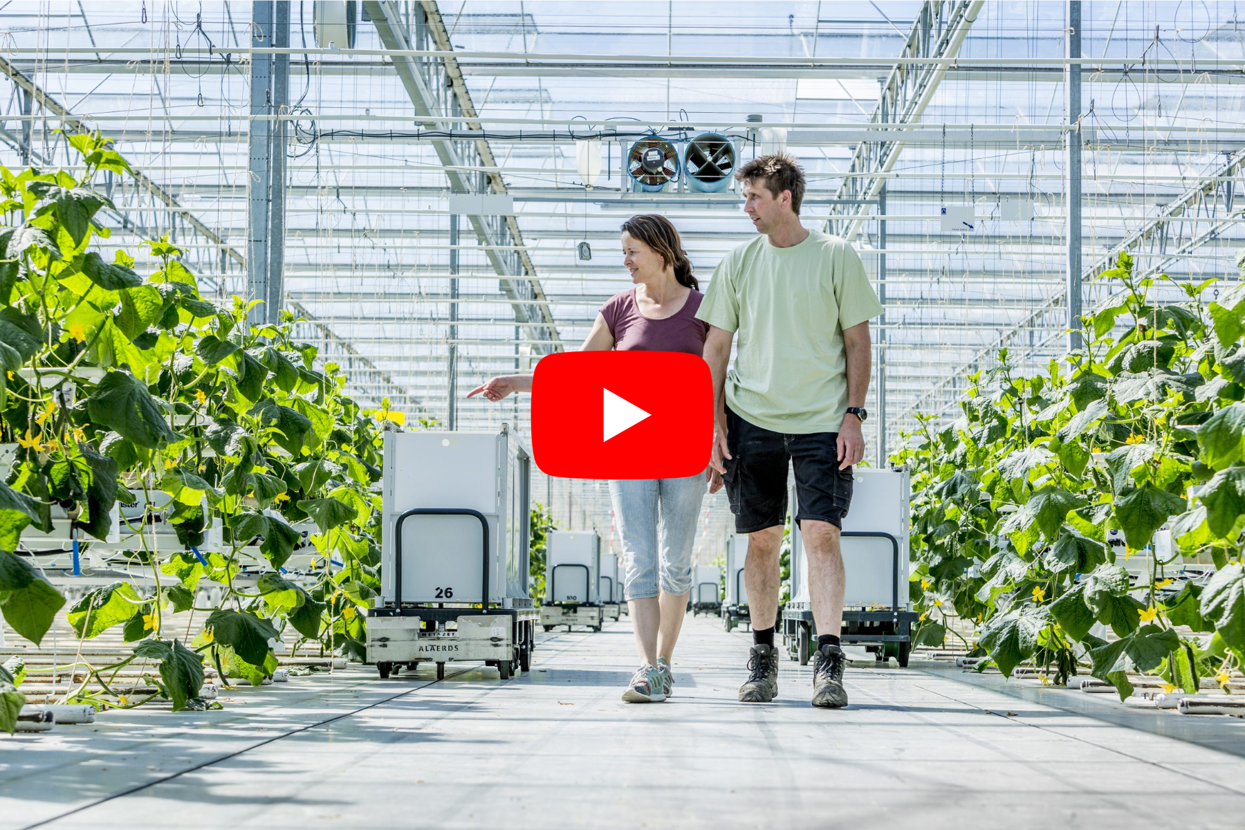 alaerds-alegro-bedrijfsvideo